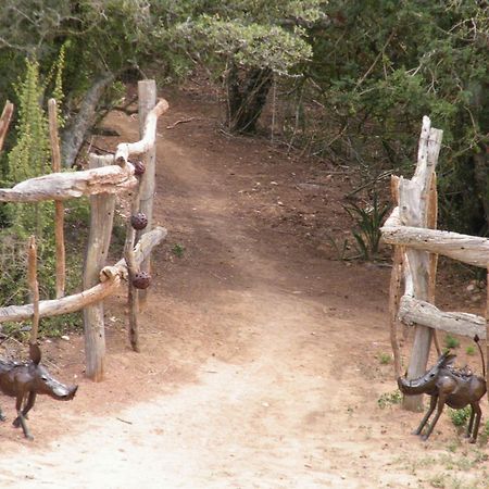Addo Dung Beetle Guest Farm Vila Exterior foto