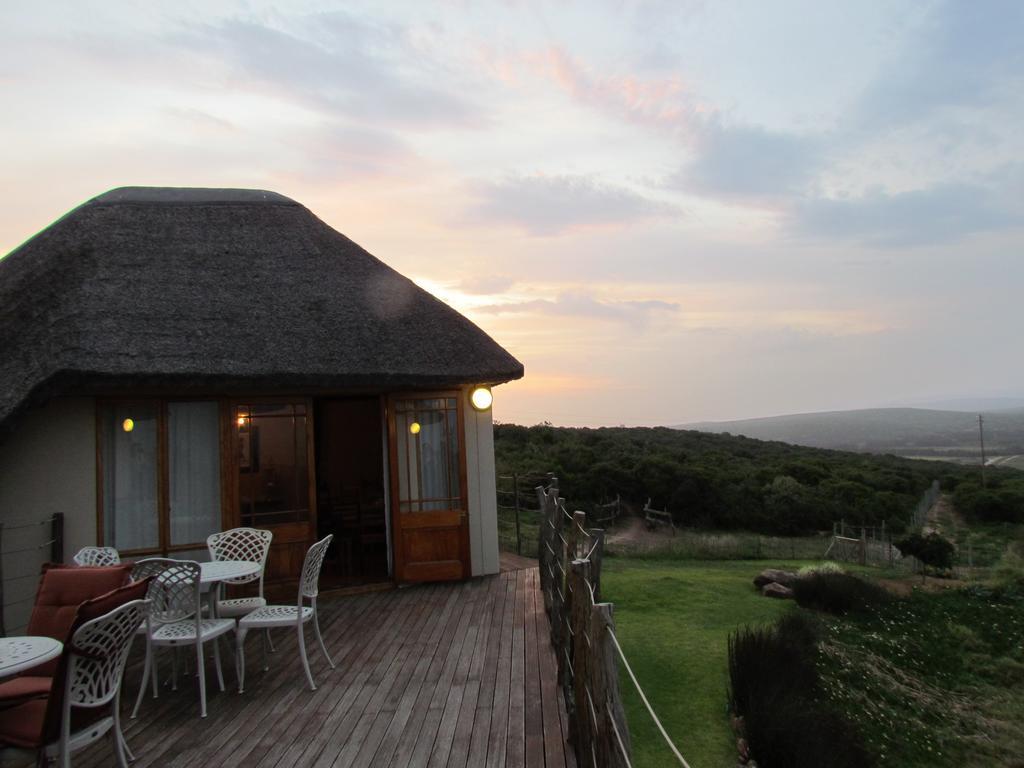 Addo Dung Beetle Guest Farm Vila Exterior foto