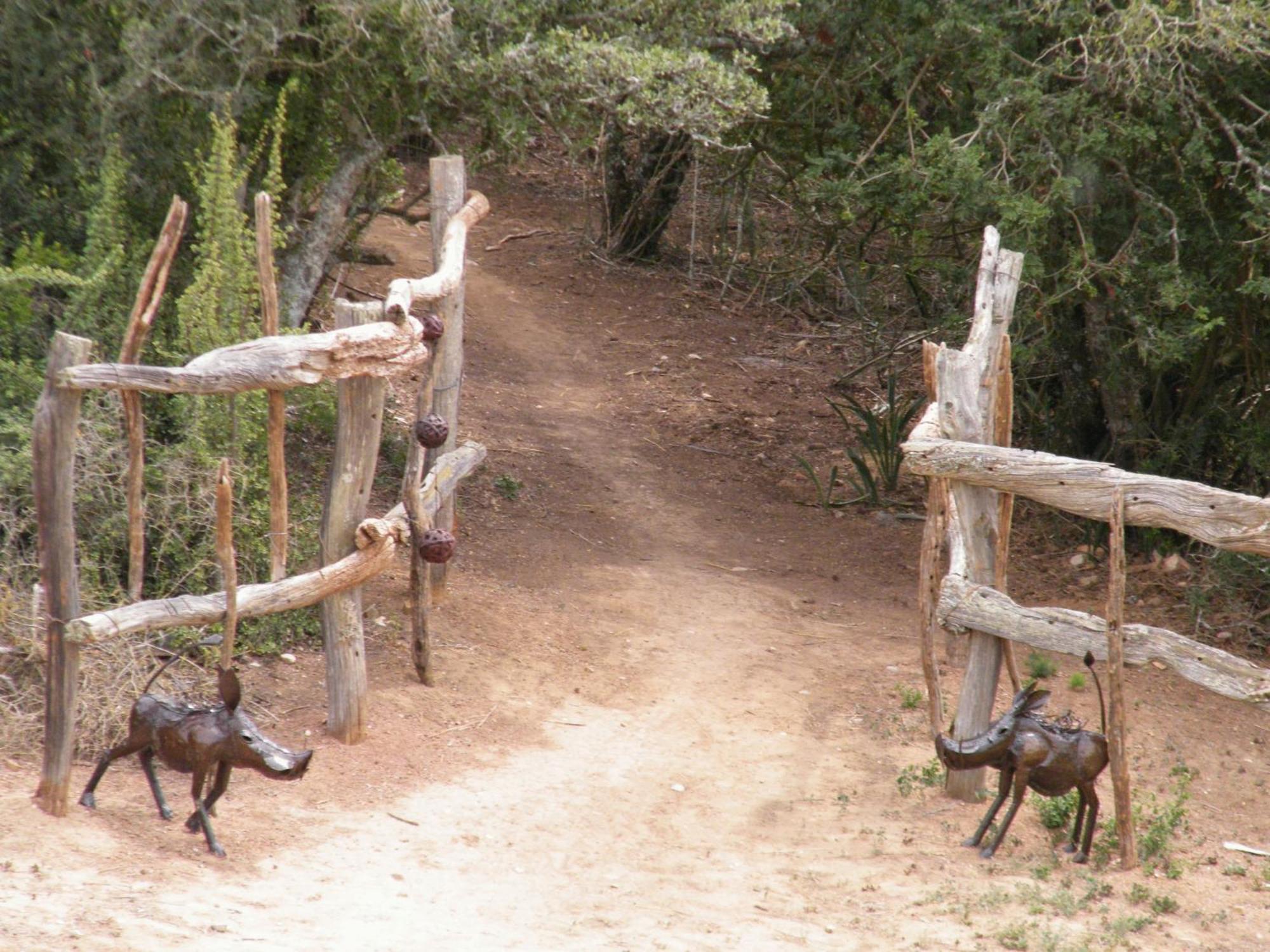 Addo Dung Beetle Guest Farm Vila Exterior foto