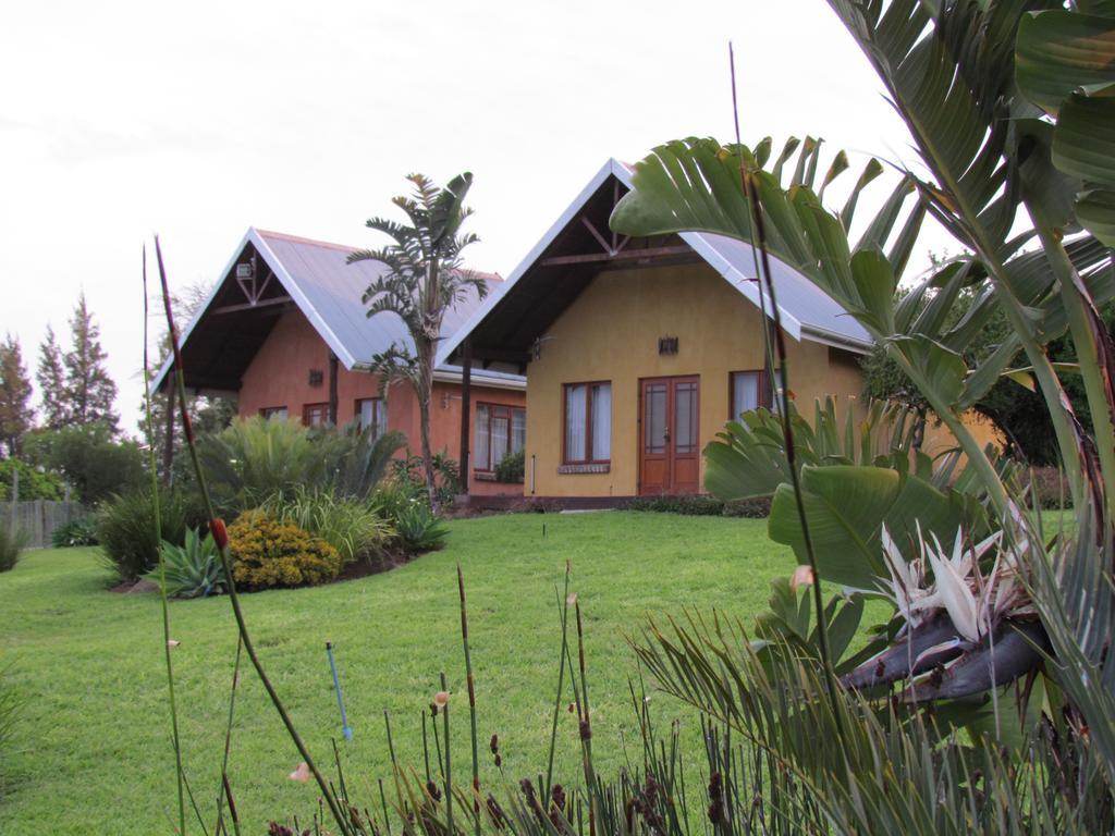 Addo Dung Beetle Guest Farm Vila Quarto foto