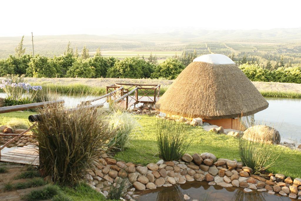 Addo Dung Beetle Guest Farm Vila Exterior foto