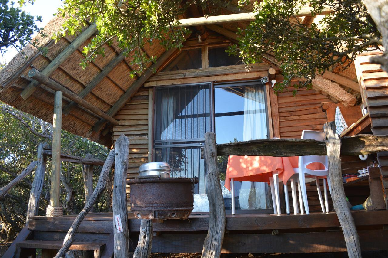 Addo Dung Beetle Guest Farm Vila Exterior foto
