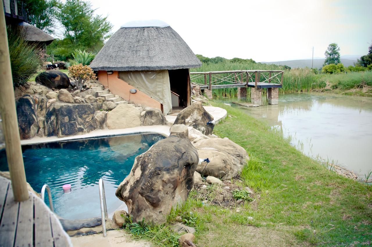 Addo Dung Beetle Guest Farm Vila Exterior foto