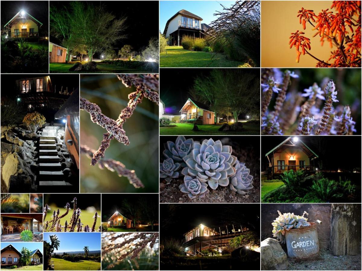 Addo Dung Beetle Guest Farm Vila Exterior foto