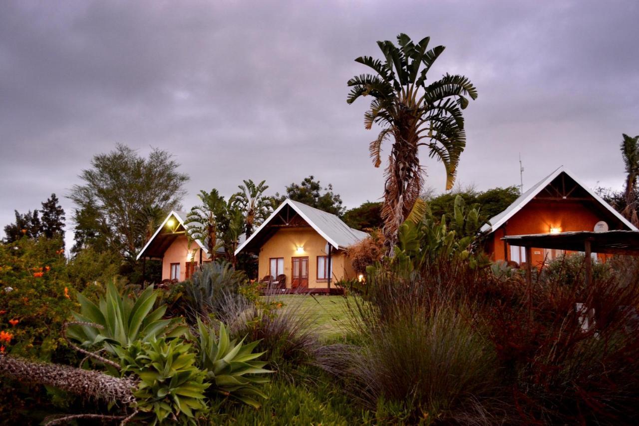 Addo Dung Beetle Guest Farm Vila Exterior foto
