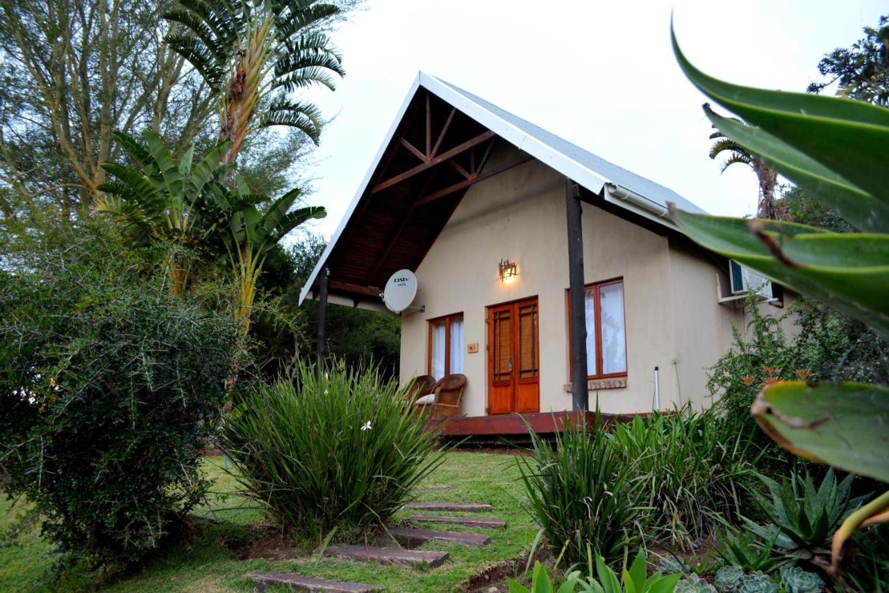 Addo Dung Beetle Guest Farm Vila Exterior foto