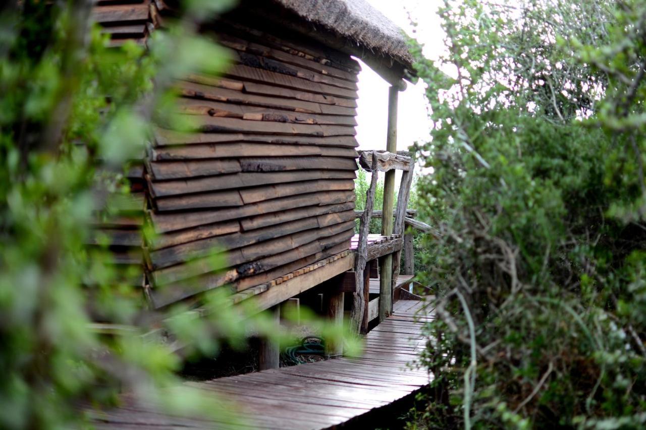 Addo Dung Beetle Guest Farm Vila Exterior foto